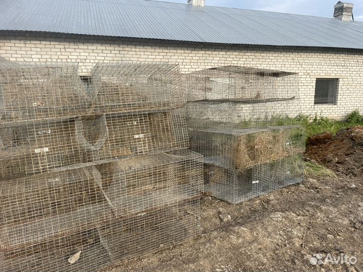 Клетки для кроликов