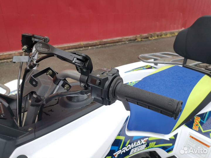 Квадроцикл promax renegade 300
