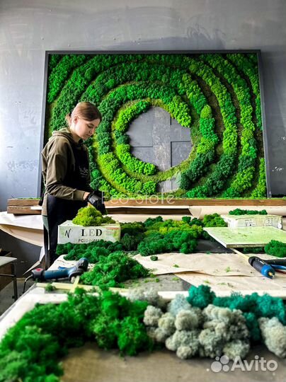 Озеленение мхом. Уникальное панно