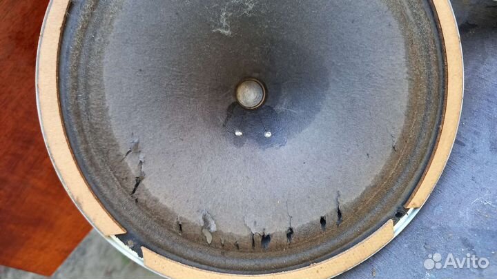 Динамики.комплект.с проводами. Ригонда