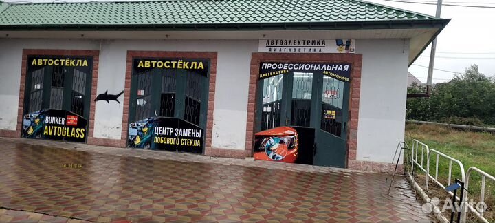 Автоэлектрик диагност