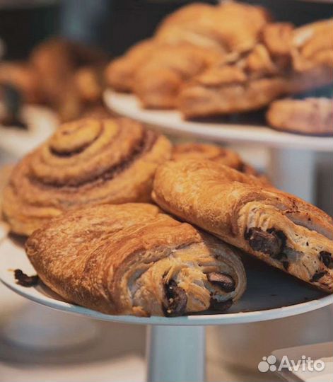 Развитие/открытие пекарни/хлебозавода