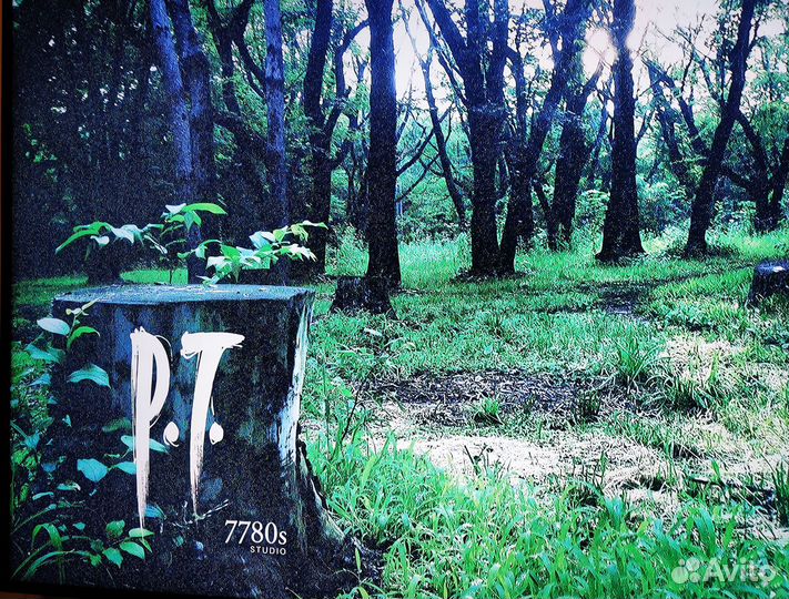 PS4 + 30 Игр + 2 Джойстика + P.T