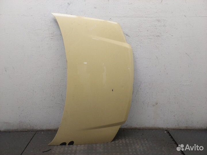 Капот Fiat Panda, 2010