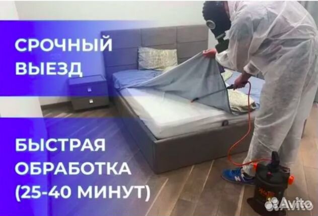 Обработка от тараканов клопов и муравьев