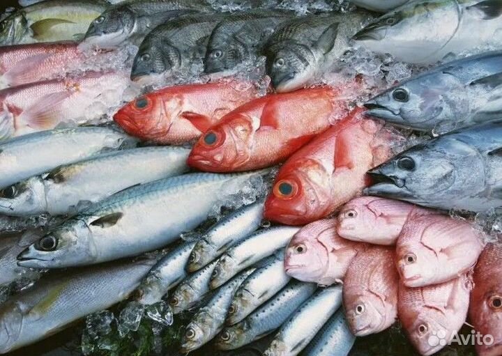Рыба свежемороженая в ассортименте нск