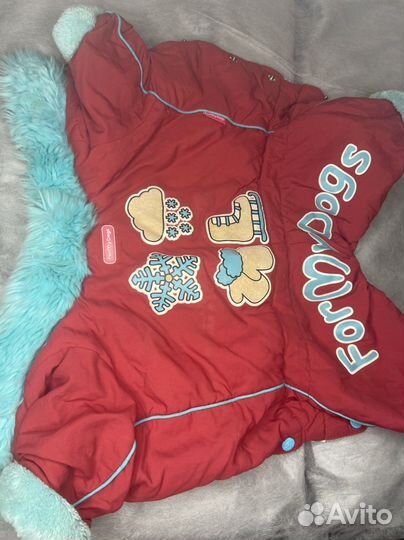 Одежда для собак