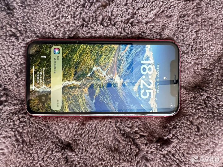 I phone 11