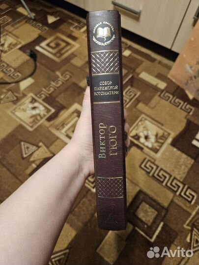 Собор парижской богоматери Виктор Гюго