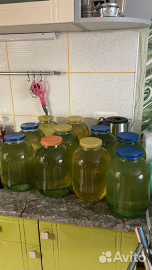 Мед Белая Акация