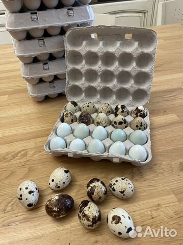 Яйца перепелиные домашние свежие