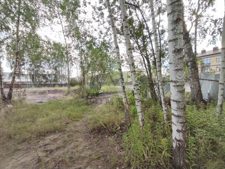 Участок 12,5 сот. (СНТ, ДНП)