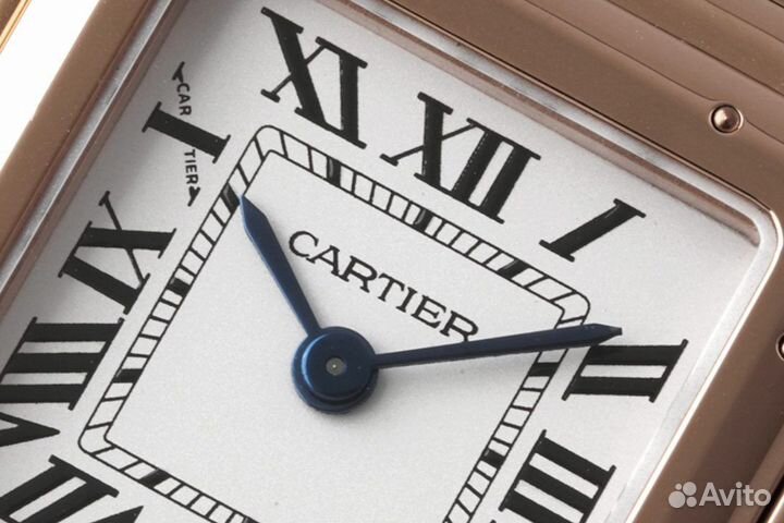 Cartier panthere