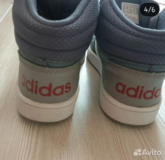 Кроссовки Adidas Hoops 33