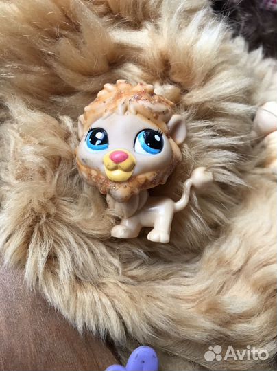 Животные LPS