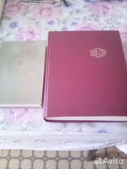 Гюстав Флобер.Французский классик.Совет.энциклопед