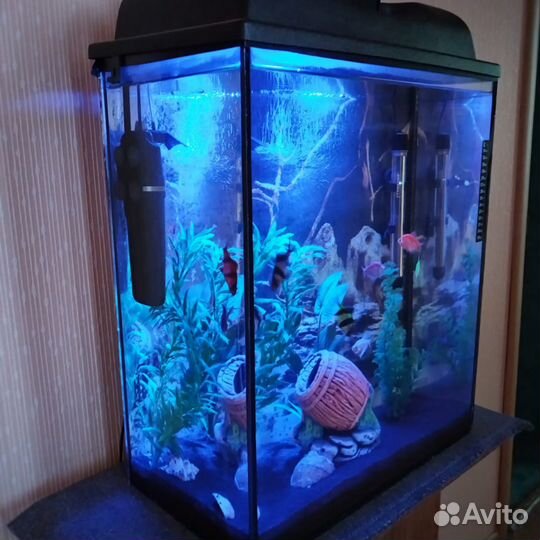 Аквариум с рыбками 40 литров