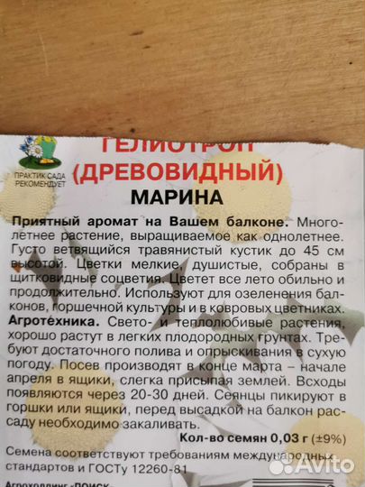 Гелиотроп Марина