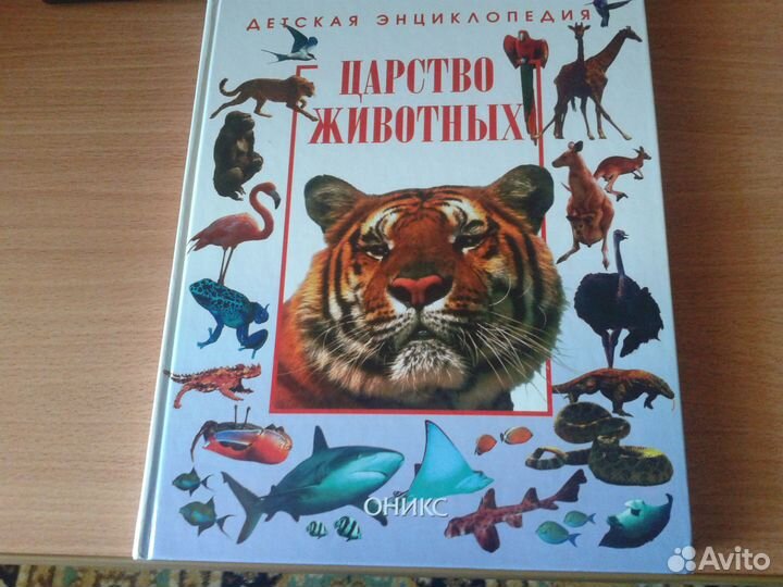 Царство животных