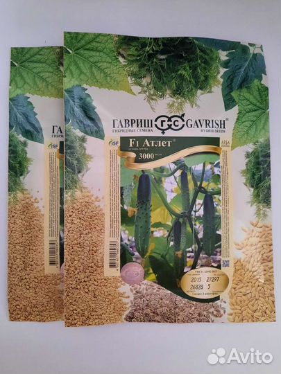 Семена огурцов F1 Атлет