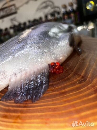 Форель охлажденная(Карелия) Рыба. Икра. Морепродук