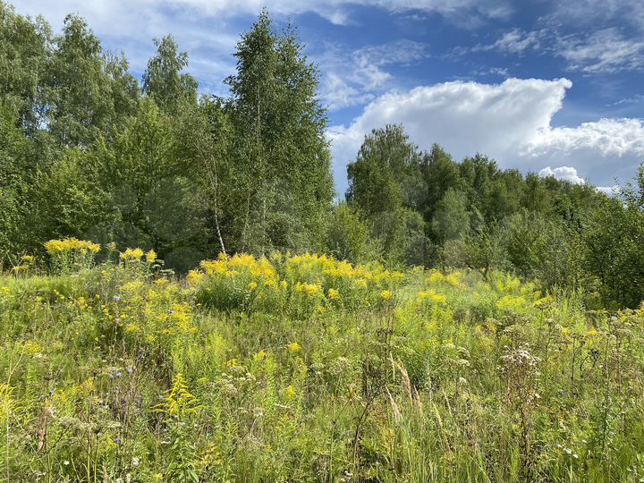Участок 23 сот. (СНТ, ДНП)