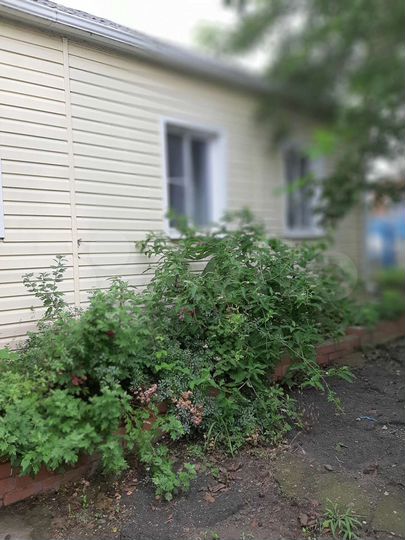 Дом 63,8 м² на участке 13 сот.