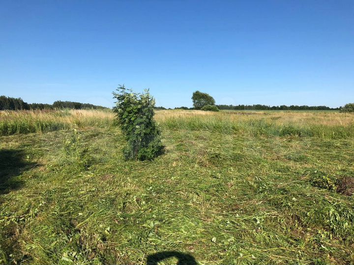 Участок 20 сот. (ИЖС)