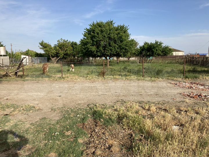 Участок 10 сот. (ИЖС)