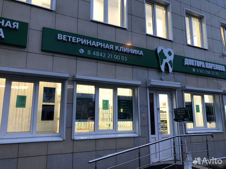 Ветеринары 24 часа выезд на дом