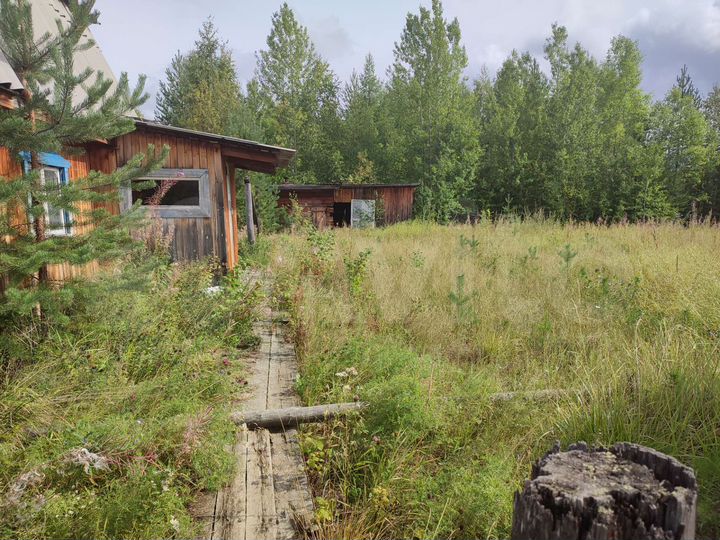 Дом 24 м² на участке 11 сот.