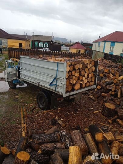Дрова сосна, лиственница сырая