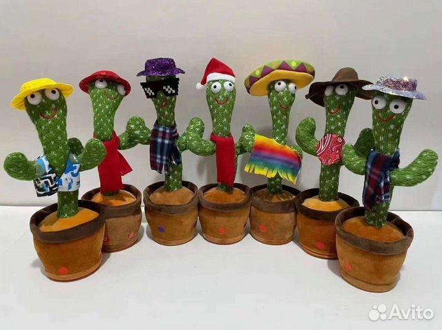 Хаги ваги кактус