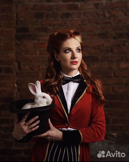 Кролики / аренда / продажа