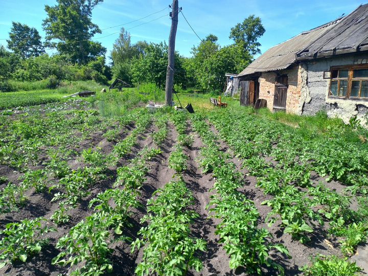 Участок 50 сот. (ИЖС)