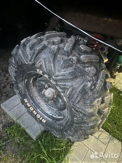 Maxxis bighorn 26 r12