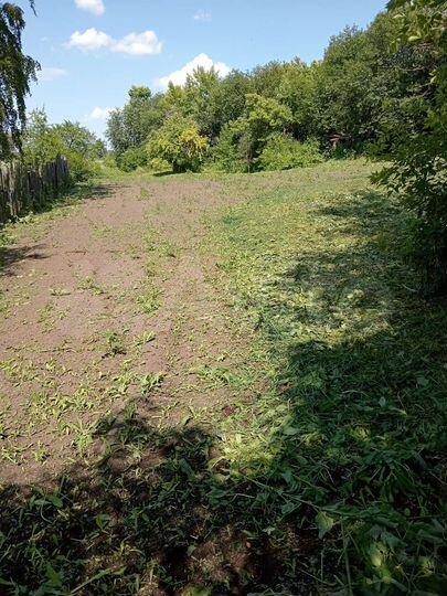 Участок 36 сот. (ИЖС)