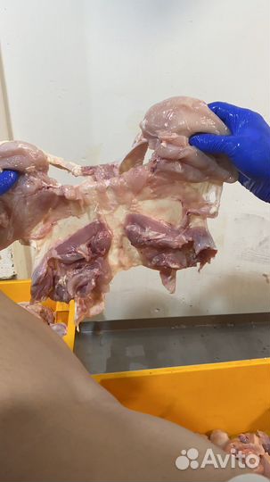 Куриная Шаурма «Халяль» гост