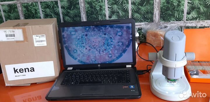 Микроскоп kena