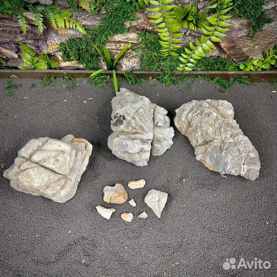 Камни для аквариума / Серый Лао (кам50)