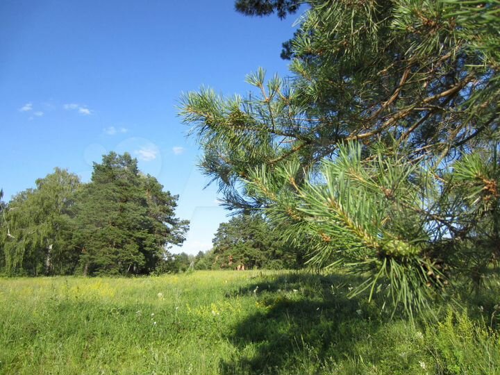 Участок 40 сот. (СНТ, ДНП)