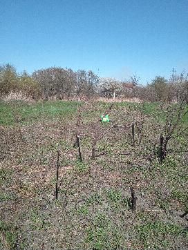 Участок 6 сот. (ИЖС)