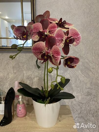 Подарок на 8 марта орхидея
