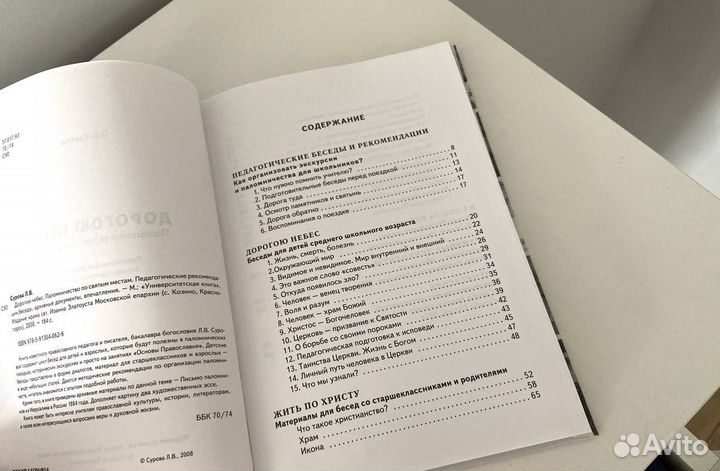 Книга «Дорогою небес» Л. В. Сурова