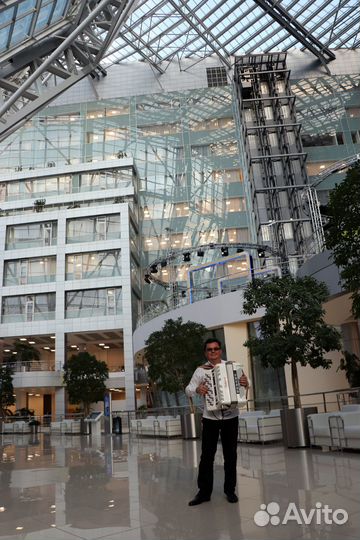 Аккордеонист Баянист Человек-Оркестр