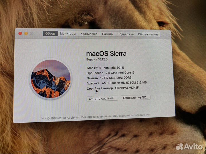Apple iMac 21.5