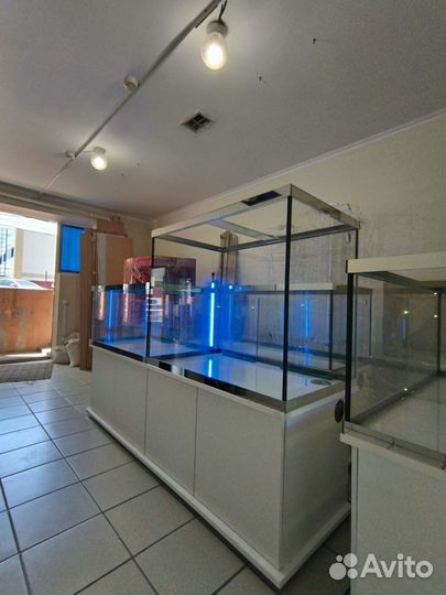 Аквариумный комплекс для торговли раками и рыбой
