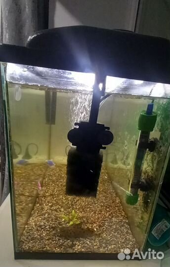 Аквариум с рыбками