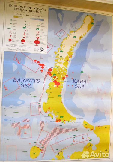 Карта экологии Новой Земли