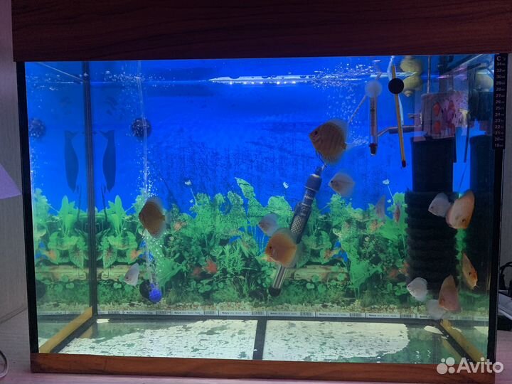 Аквариум 105 литров